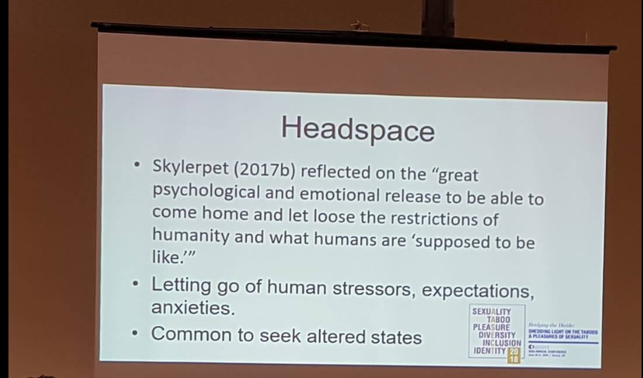I ett av föredragen beskrevs uttrycket "headspace"