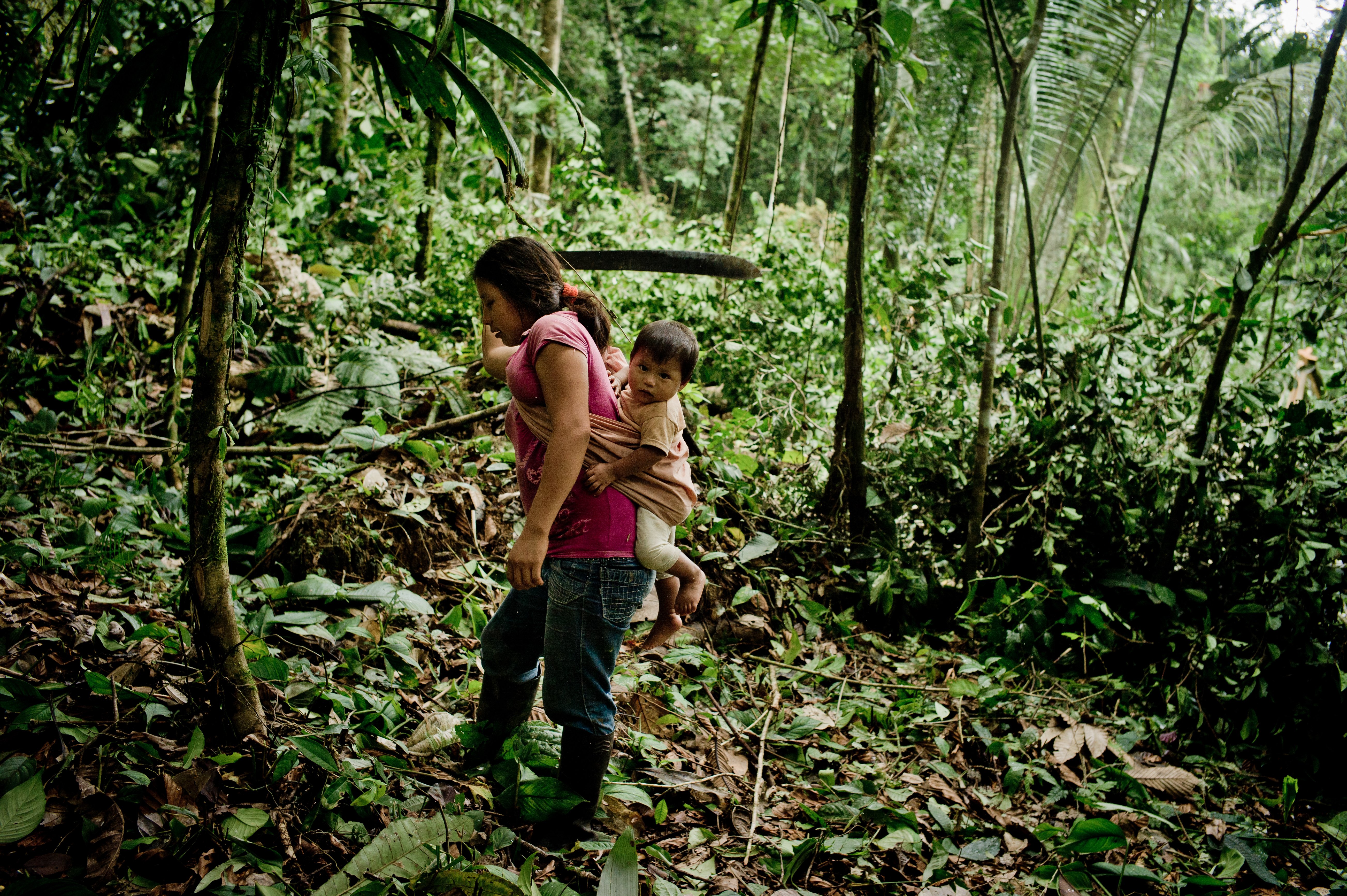 A woman carrying a small child on her back walks through a dense, lush jungle filled with thick green vegetation. She wears a pink shirt and jeans, and carries a large machete as she navigates the forested landscape.
