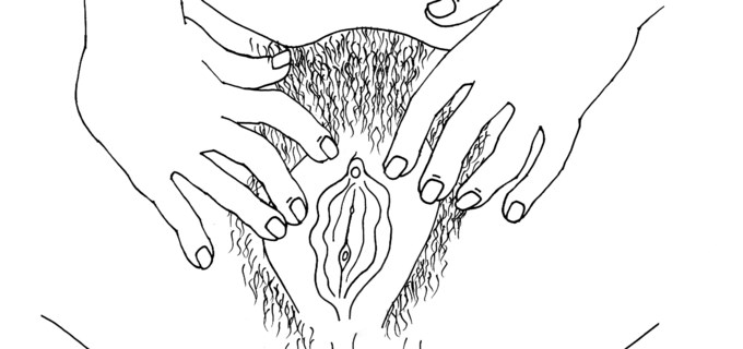En tecknad fitta med venusberg med hår på, en synlig klitoris, blygdläppar och slidöppning 