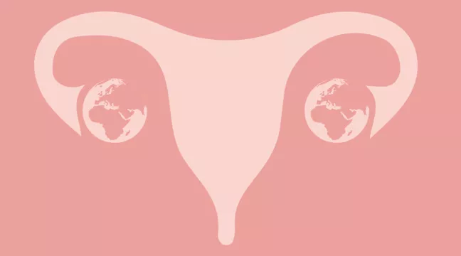 En illustrerad livmoder där äggstockarna ser ut som två jordklot.  