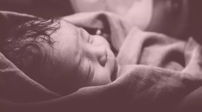 Nyfödd bebis sover invirad i en filt, svartvitt foto. 