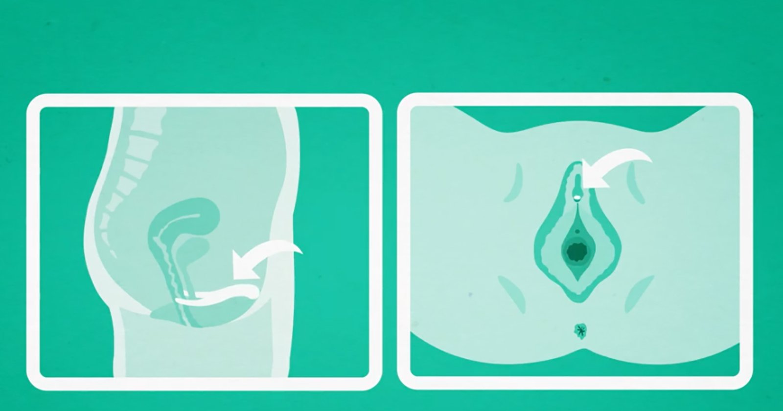 VKontakte porno videolarida tombul qizlar Orqa tomondan yaqindan olingan surat