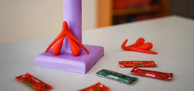 Bild på 3D-klitorisar, kondomer och en tränis 