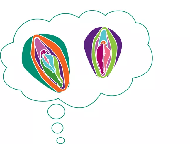 Tecknade fittor i olika färger. 